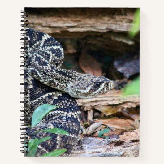 Carnet Crotale dans la nature (Devant)