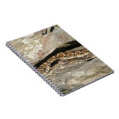 Carnet Crotale dans le parc national de Shenandoah (Côté Droit)