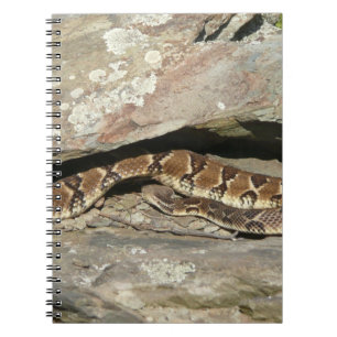 Carnet Crotale dans le parc national de Shenandoah