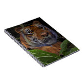 Carnet Crouching des tigres dans la jungle (Côté Droit)