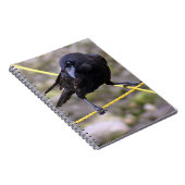 Carnet Crow à la croisée des chemins (Côté Droit)