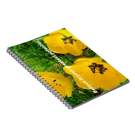 Carnet Croyez En Votre Plus Grand Potentiel. (Côté Droit)