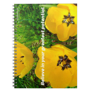 Carnet Croyez En Votre Plus Grand Potentiel.