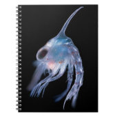 Carnet Crustacé planctonique (Devant)