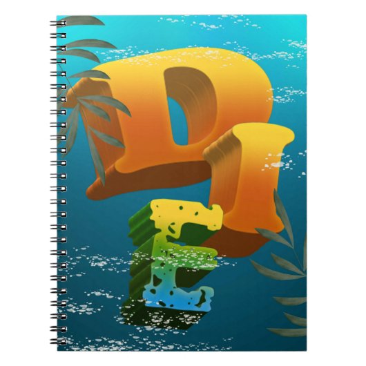 Carnet cuadernillo (Devant)