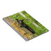 Carnet Cube d'ours noir | Minnesota (Côté Droit)