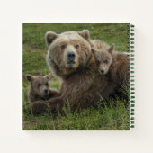 Carnet Cubs d'ours Brown se léchant avec leur mère (Dos)