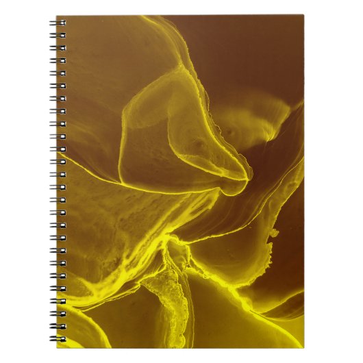 Carnet Cuir rouge, texture (Devant)
