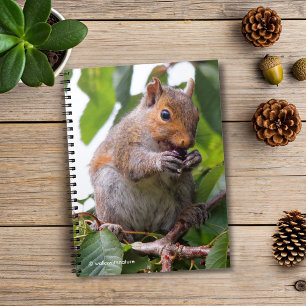 Carnet Cuite Cerise cueillir Écureuil gris