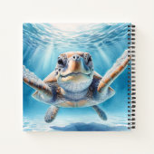 Carnet Curieuse tortue de mer (Dos)
