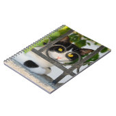 Carnet Curieux Chat avec Spectacles Cadre Funny Photocove (Côté gauche)