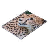 CARNET CURIEUX CHEETAH (Côté gauche)