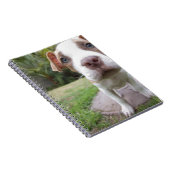 Carnet Curieux Chiot (Côté Droit)