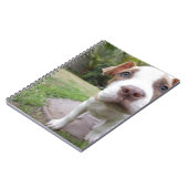 Carnet Curieux Chiot (Côté gauche)