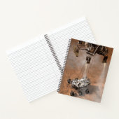 Carnet Curiosity Arrivant Sur La Surface Martienne. (Intérieur)