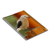 Carnet Curious Clark's Nutcracker (Côté Droit)