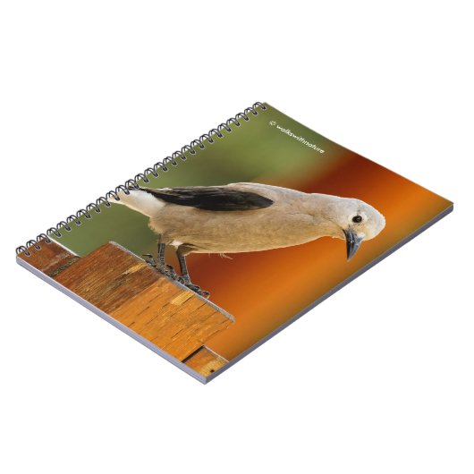 Carnet Curious Clark's Nutcracker (Côté gauche)