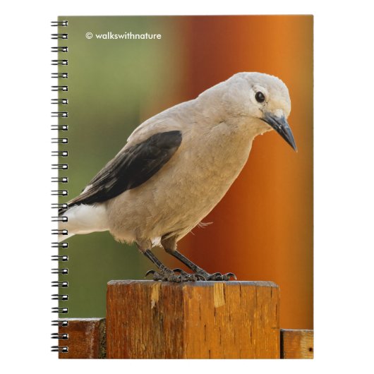 Carnet Curious Clark's Nutcracker (Devant)