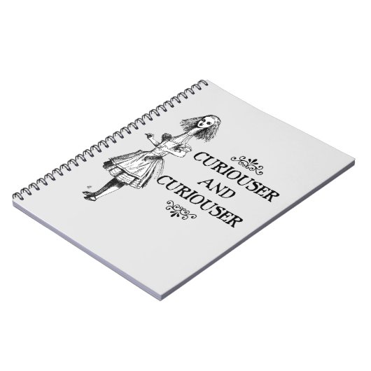 Carnet Curiouser et Curiouser (Côté gauche)