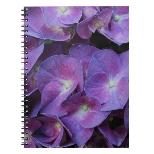 Carnet - customisé (Devant)