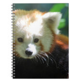 Carnet - customisé (Devant)