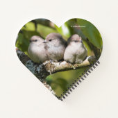 Carnet Cute Baby Bushtit Songbirds (Dos)