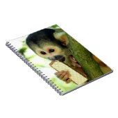 Carnet Cute Baby Squerrl Monkey Eating a Wafer Biscuit (Côté Droit)