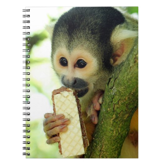 Carnet Cute Baby Squerrl Monkey Eating a Wafer Biscuit (Devant)