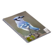 Carnet Cute Bleu Jay Songbird sur Treestump (Côté Droit)
