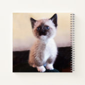 Carnet Cute Blue Eyed Pet Siamese Kitten espace (Dos)