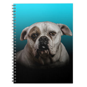 Carnet Cute Boxer Dog w Blue Black Gradient arrière - pla