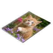 Carnet Cute chaton gingembre dans un jardin (Côté gauche)
