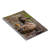 Carnet Cute Chillin' Mallard Maman Canard & Bébé Canard (Côté Droit)