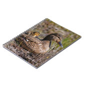 Carnet Cute Chillin' Mallard Maman Canard & Bébé Canard (Côté gauche)