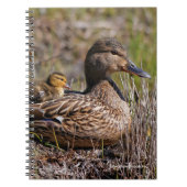 Carnet Cute Chillin' Mallard Maman Canard & Bébé Canard (Devant)