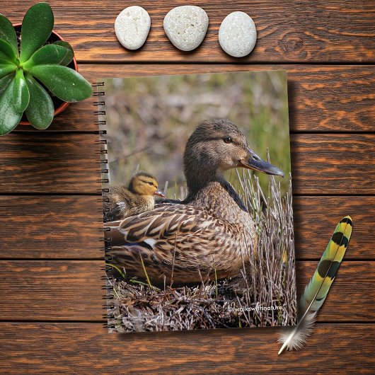 Carnet Cute Chillin' Mallard Maman Canard & Bébé Canard