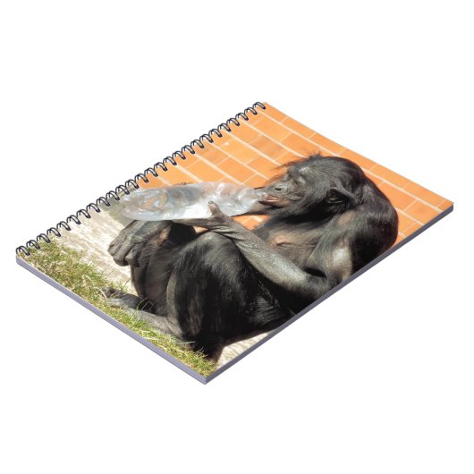 CARNET CUTE CHIMPANZEE (Côté gauche)