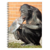 CARNET CUTE CHIMPANZEE (Devant)