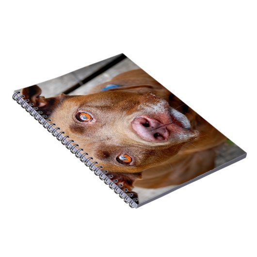 Carnet Cute chocolat Lab Pit Mix Chien 7 (Côté Droit)