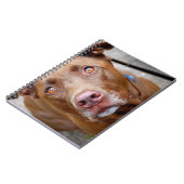 Carnet Cute chocolat Lab Pit Mix Chien 7 (Côté gauche)