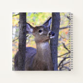 Carnet Cute Deer Close Up (Dos)