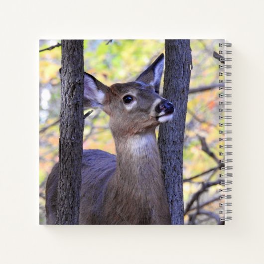 Carnet Cute Deer Close Up (Dos)