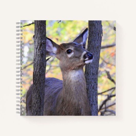 Carnet Cute Deer Close Up (Devant)