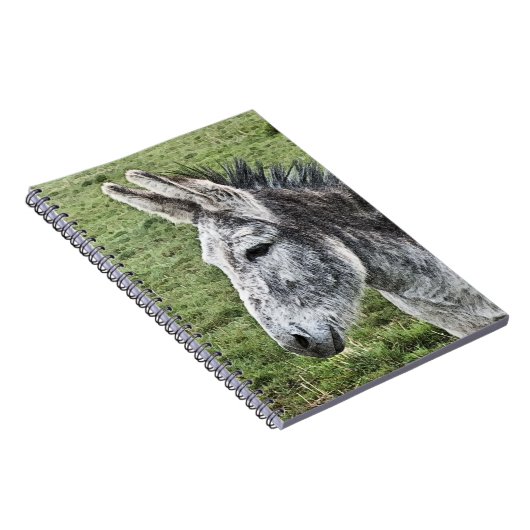 CARNET CUTE DONKEY (Côté Droit)