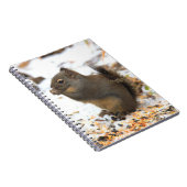 Carnet Cute Douglas Squirrel Profite d'une fête d'hiver (Côté Droit)