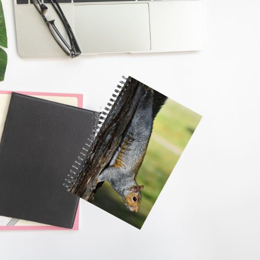 Carnet Cute écureuil gris de l'Est Nature Photo