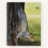 Carnet Cute écureuil gris de l'Est Nature Photo (Devant)