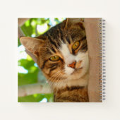Carnet Cute Escalade de chat un arbre (Dos)