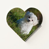 Carnet Cute Fluffy Blanc Maltais Chiot (Dos)