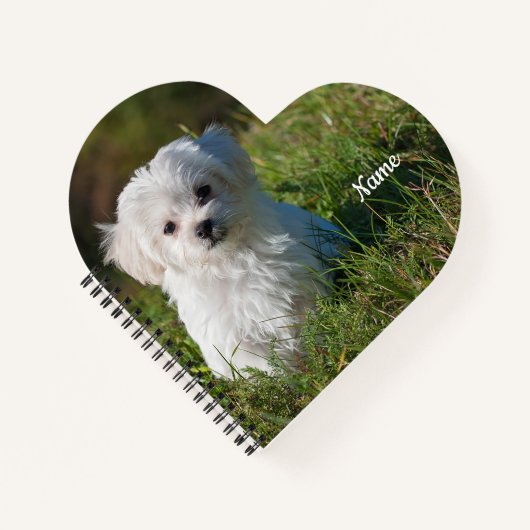 Carnet Cute Fluffy Blanc Maltais Chiot (Devant)